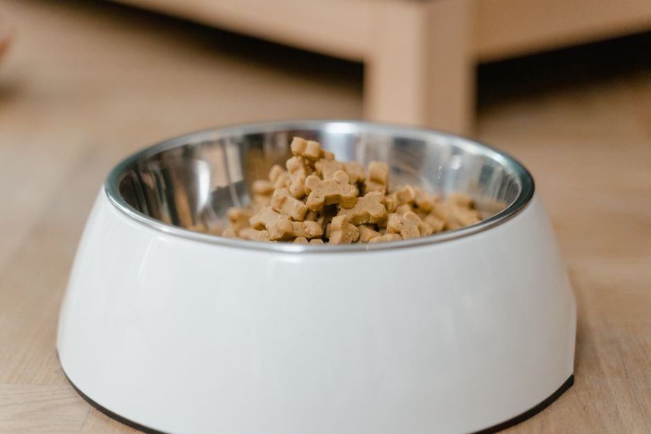 Stainless steel dog bowl filled with dry kibble on a wooden floor