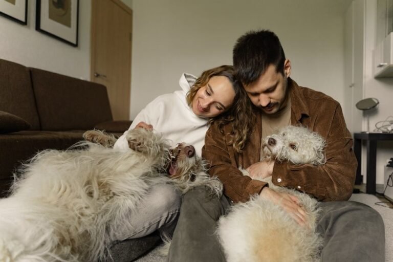 Two fluffy dogs indoors with their owners in a small apartment living room