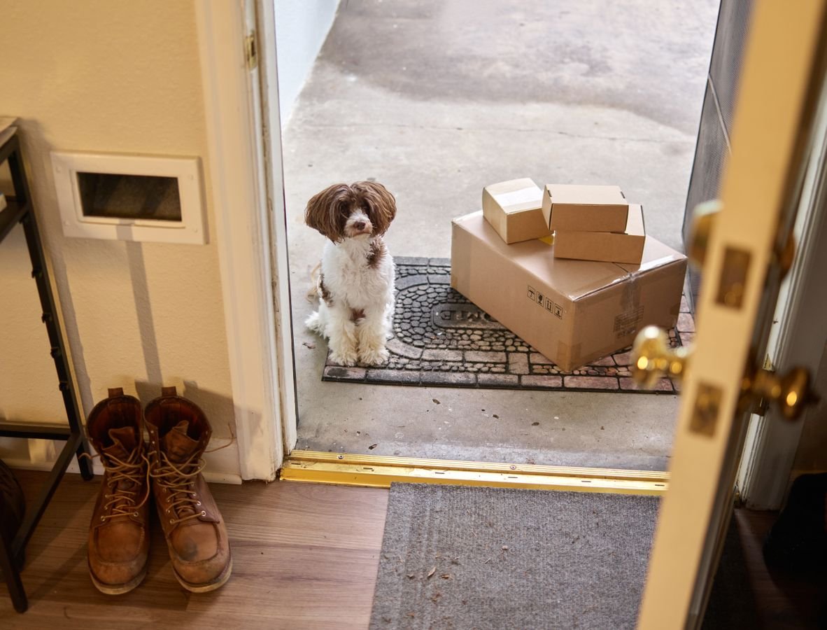 Chewy Autoship delivery box waiting for cancellation before it ships