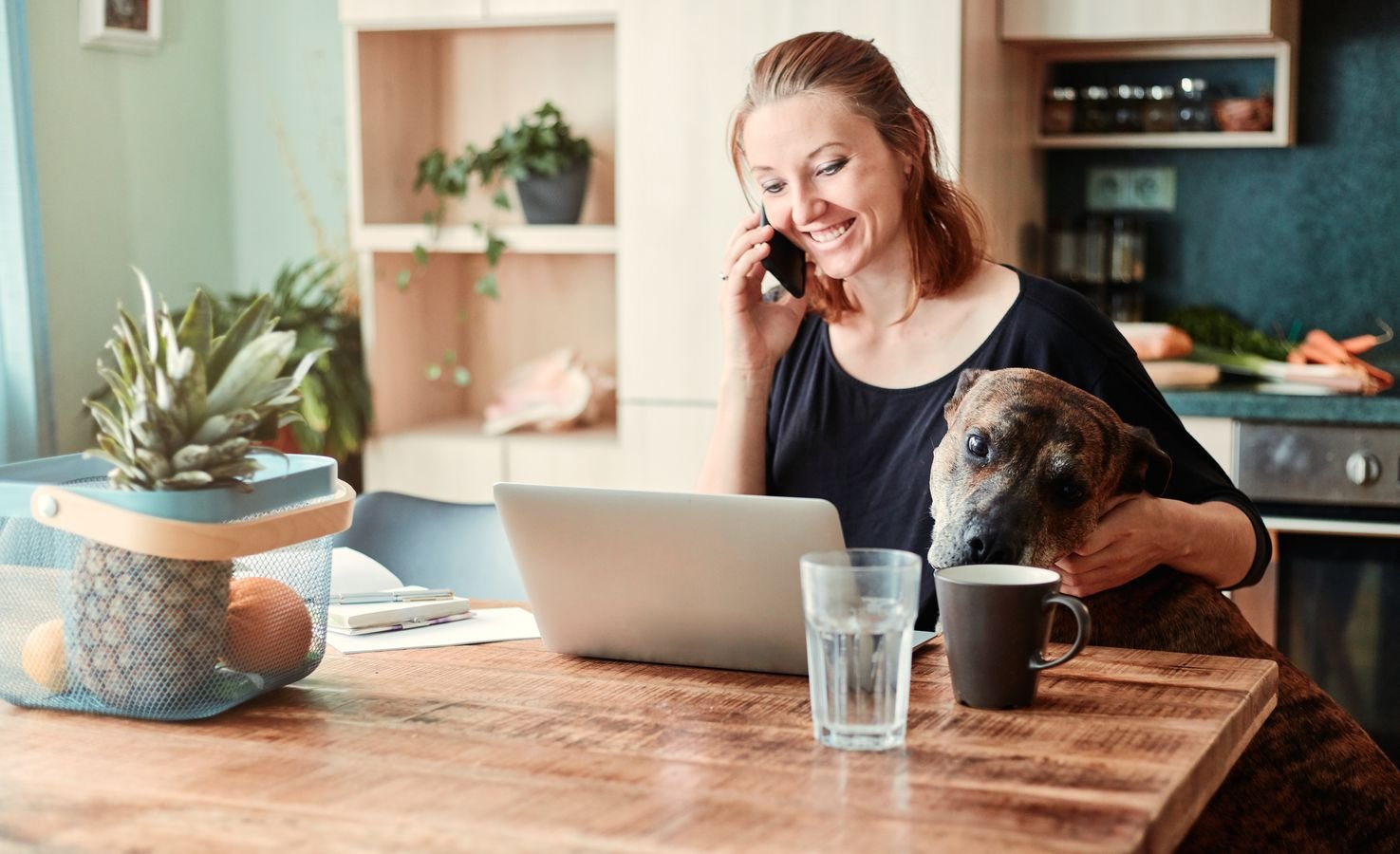 Person checking a Chewy Autoship order on a laptop next to a small dog