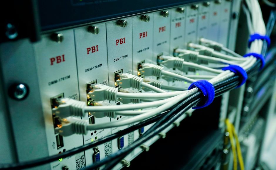 Ethernet cables plugged into a network switch panel