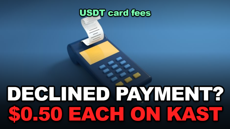 Fat Cat Card: What Declined USDT Card Payments Cost
